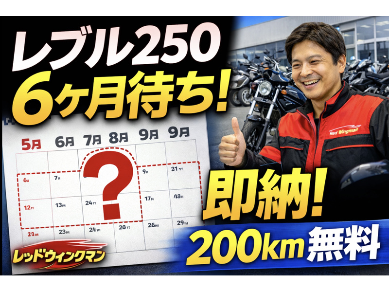 カワサキ Ninja ZX－14R ABS (1188985) | 中古バイク