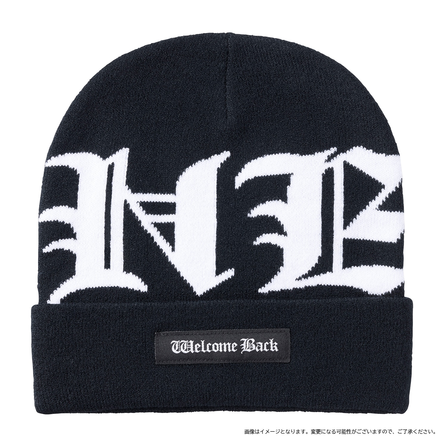 2024 2NE1 CONCERT [WELCOME BACK] IN JAPAN』追加GOODS - GOODS