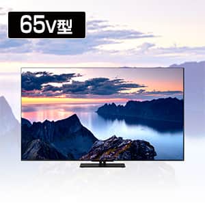 東芝 USB TVS REGZA TVS REGZA TVS REGZAの