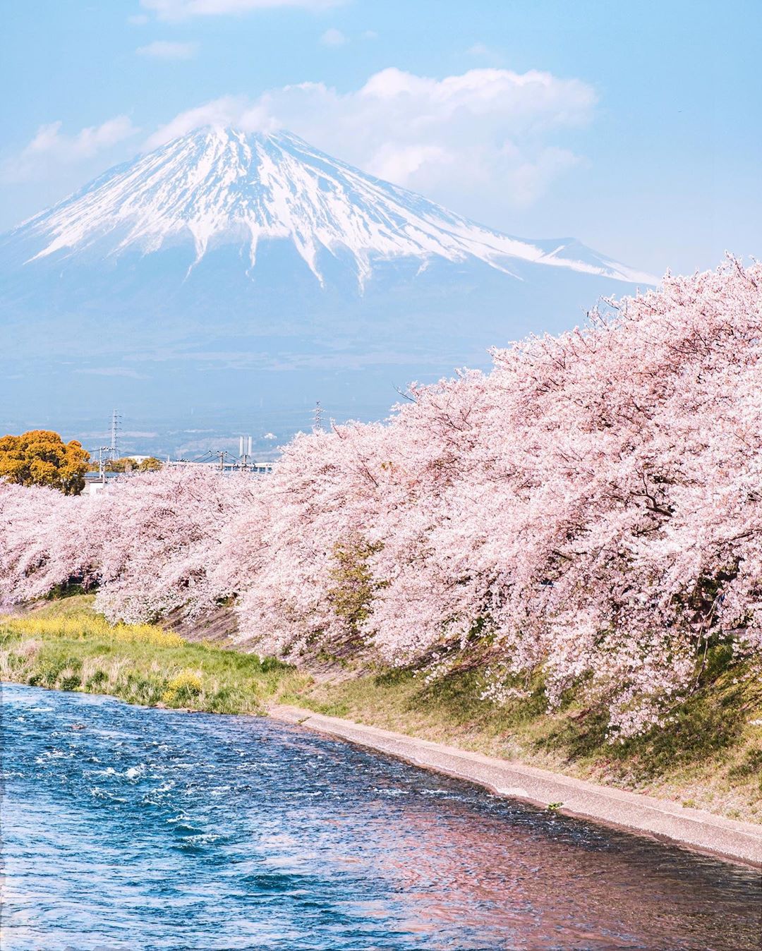 見てみたい景色を追い求めて。 風景写真を通じて気がついた、日本の
