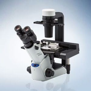倒立型顕微鏡 - CKX53 - Evident - Olympus Scientific Solutions