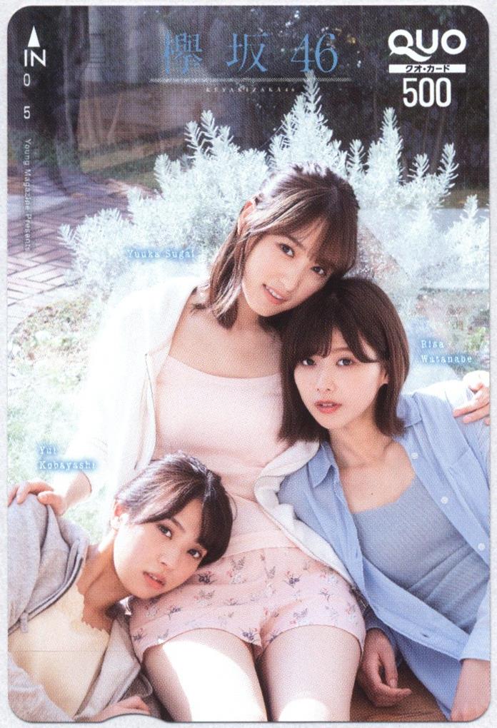 ヤングマガジン 抽プレ 欅坂46 欅坂46(菅井友香/渡邉理佐/小林由依