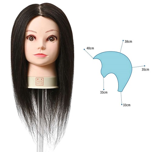 カットマネキン iP500 ユーロプレステージの通販・卸 | 4560149173011