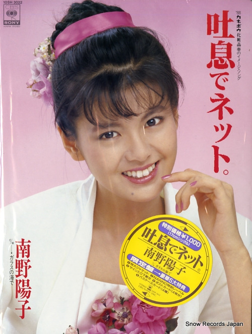 南野陽子 吐息でネット 10SH3022 | レコード買取