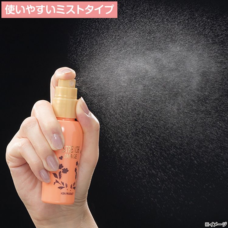 ストレッチイメージSDメイクミスト 増量タイプ | 日テレポシュレ本店