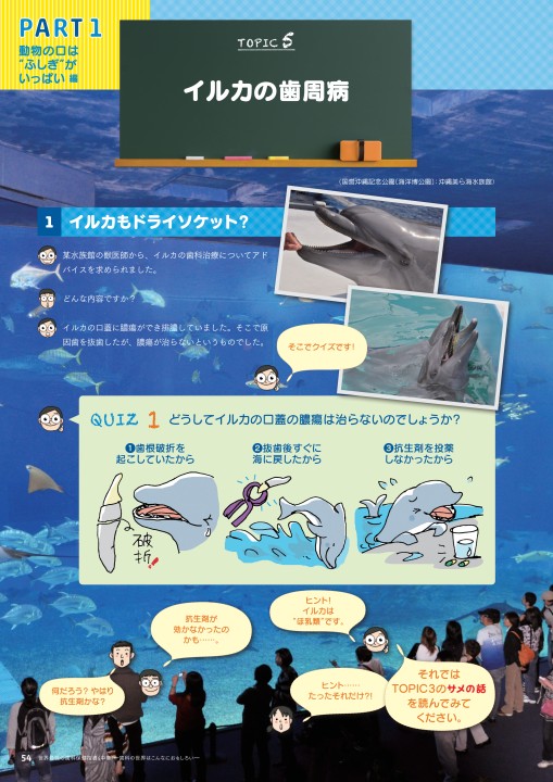 世界最強の歯科保健指導 中巻