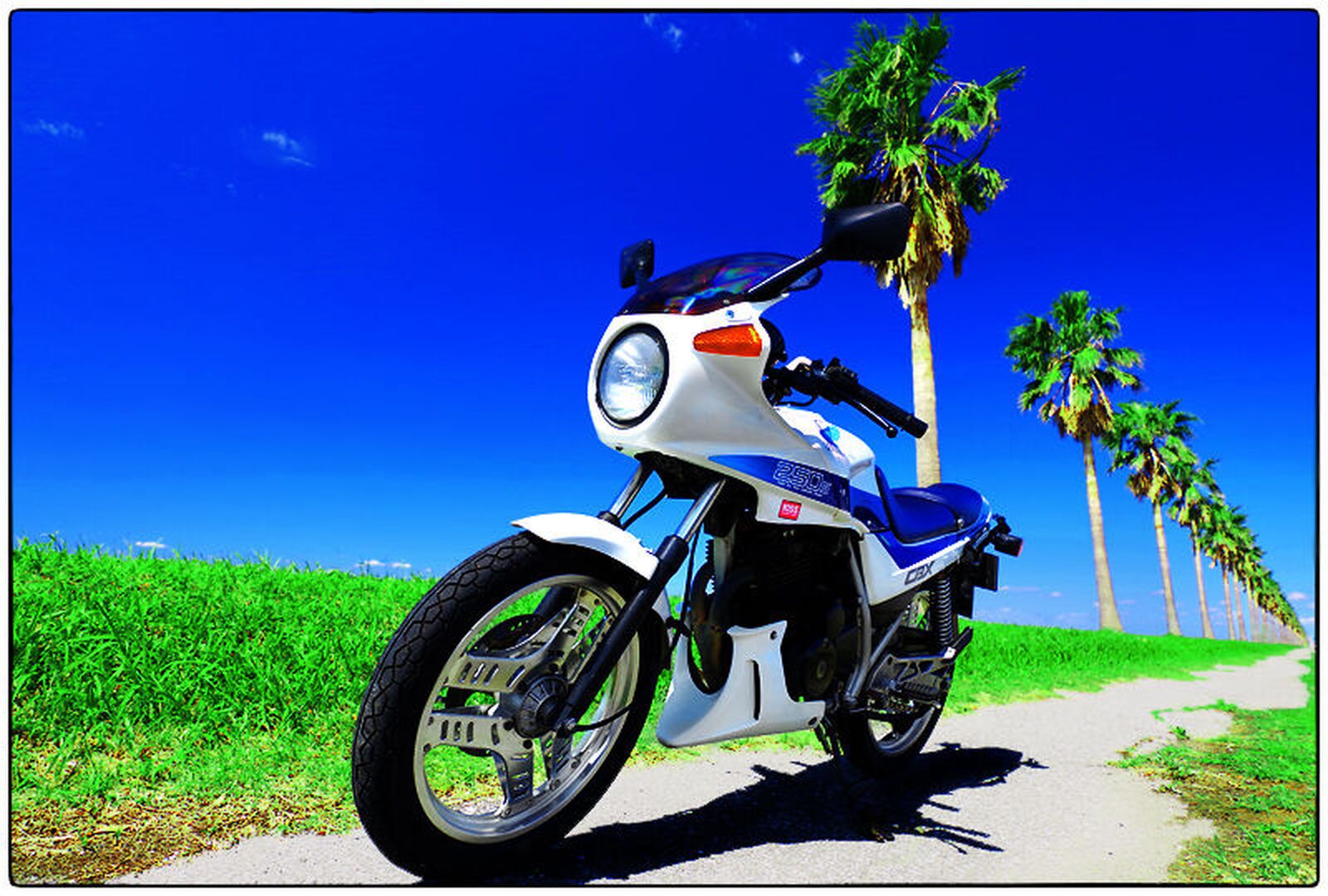 CBX250/ホンダのクチコミ・レビュー・評価・評判・足つき情報｜バイク