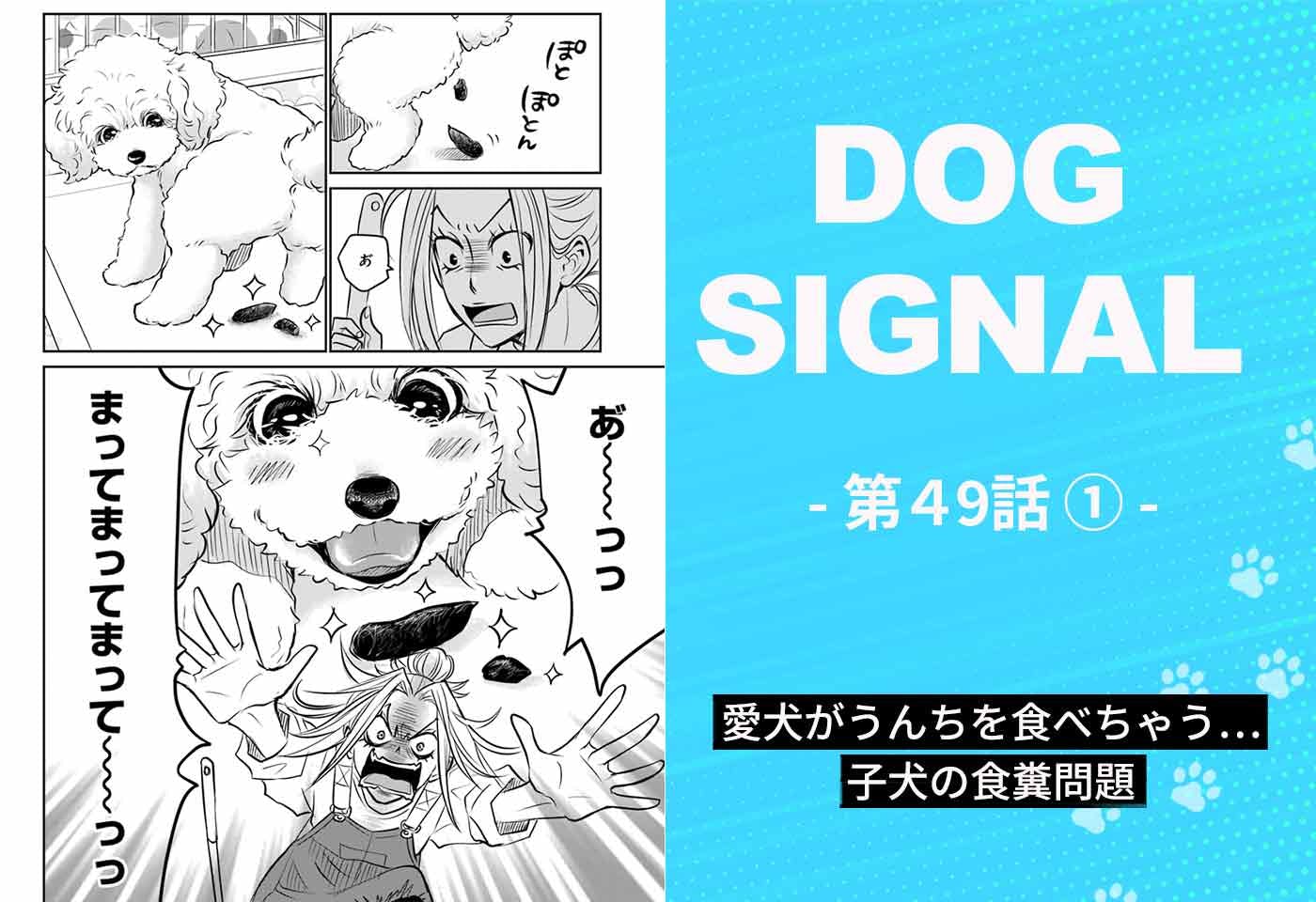 みやうち沙矢（『DOG SIGNAL（ドッグシグナル）』作者）|ワンクォール