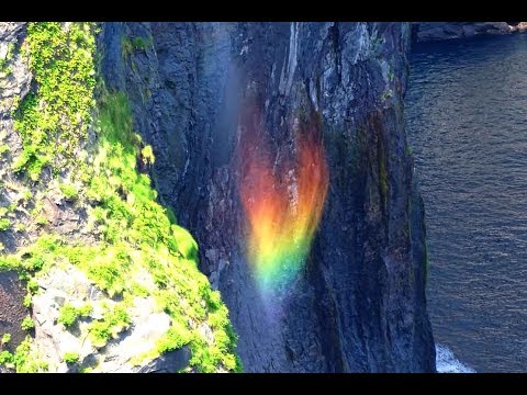 ☆北海道・知床☆原生林と断崖トレッキング～ガイドブックには載らない