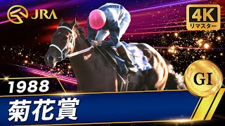 シンデレラグレイ』レース元ネタまとめ｜史実競馬とアニメの対応表