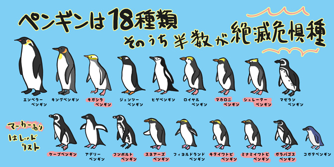 4月25日は世界ペンギンの日！知っているともっと楽しい！ペンギンの豆