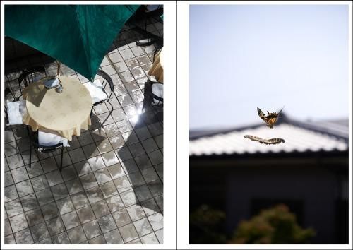 伊丹豪 | Go Itami: This Year's Model