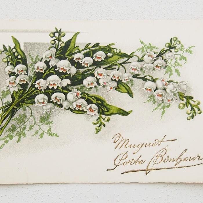 アンティーク ポストカード フランス スズラン（未使用