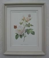 ルドゥテのバラのフレーム額絵、シシリーメアリーバーカーのフラワー