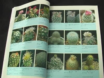 原色サボテン事典 - (株) 奈良多肉植物研究会 -多肉植物・サボテン