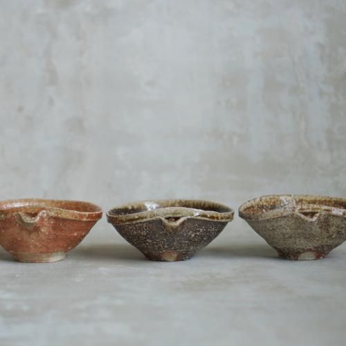 信楽片口鉢 澤克典【Galleryてとて】