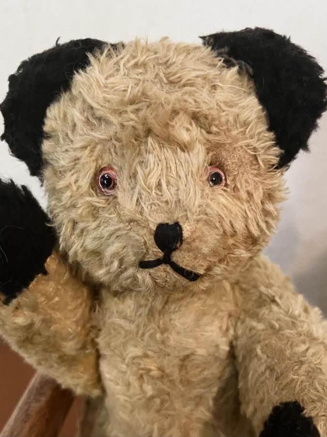 スーティー Sooty - アンティークとテディベアの店 Parade（パラード）