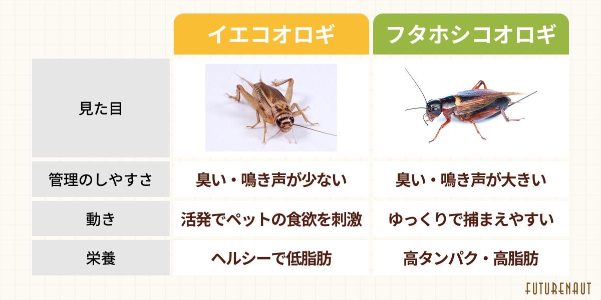 イエコオロギ｜餌用コオロギ専門通販サイトFuturenaut