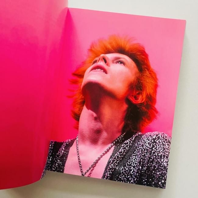 Limited edition〉The Rise of David Bowie 1972-1973 デヴィッド