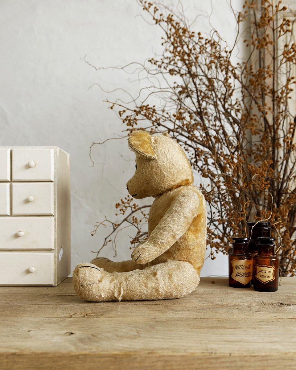 フランスアンティーク ぬいぐるみ”テディベア”.4 | Antiques Knock