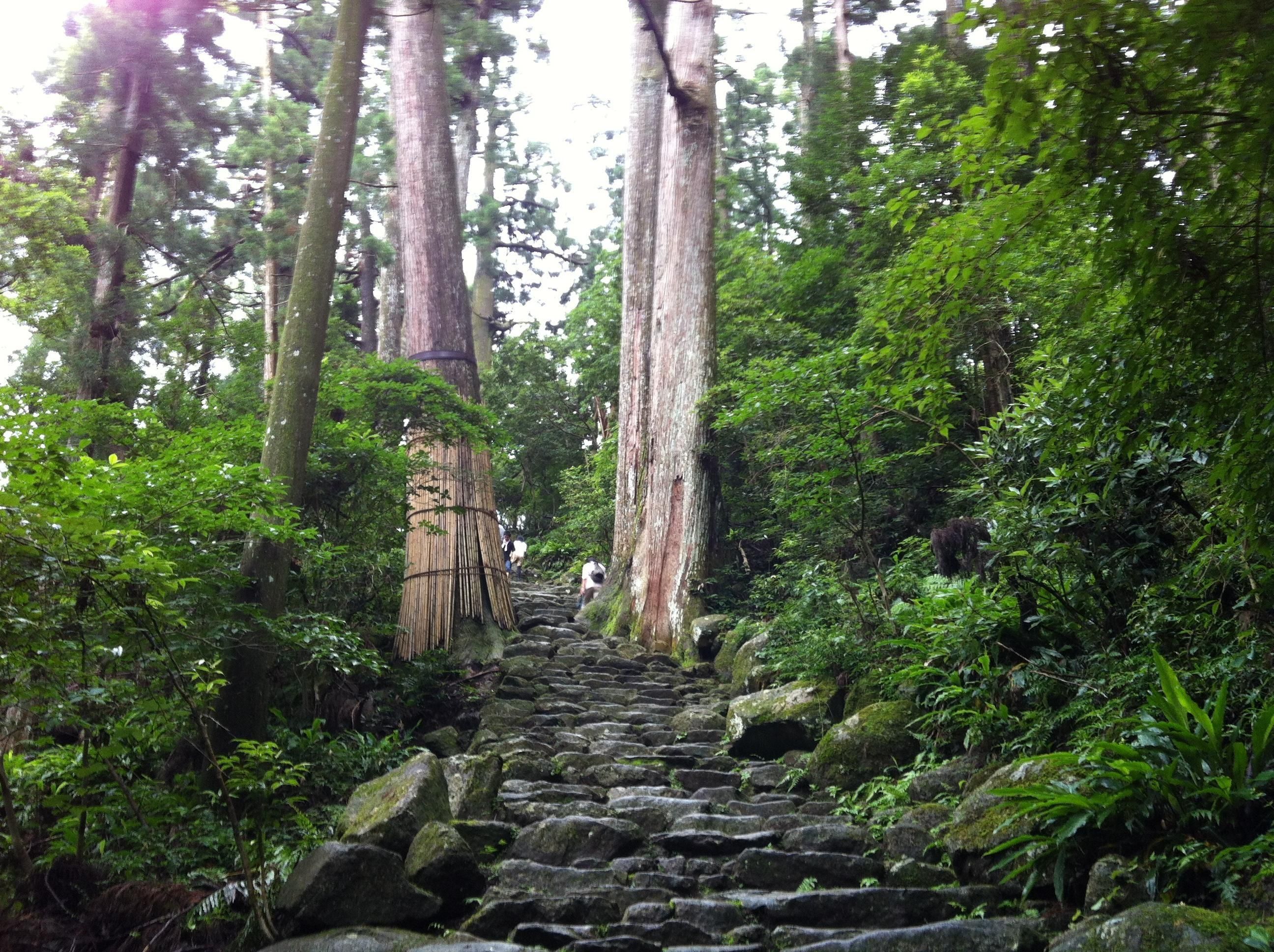 はし藤本店 オンラインショップ