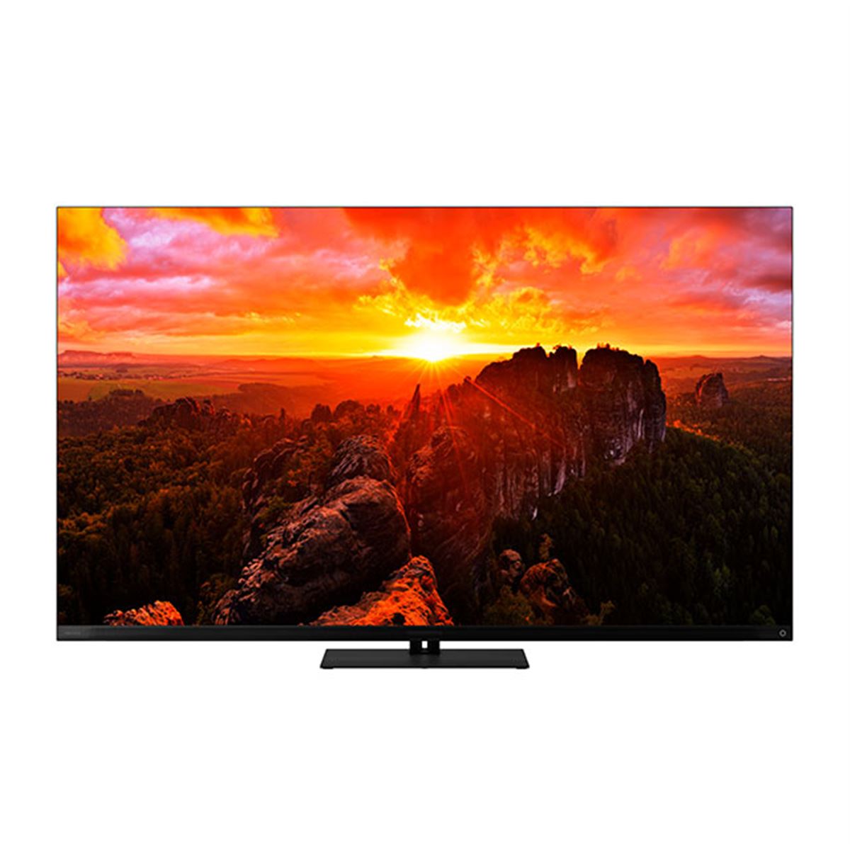 TVS REGZA、マイクロレンズアレイ有機ELパネルを採用した「X9900N