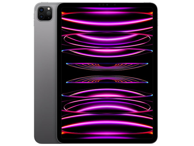 Apple iPad Pro 11インチ 第4世代 Wi-Fi 512GB 2022年秋モデル MNXJ3J