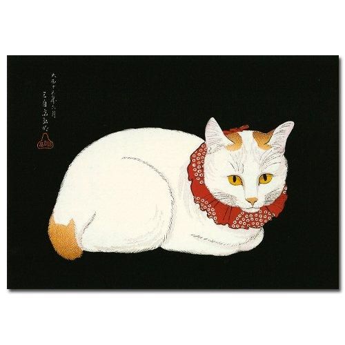 ポストカード 高橋弘明《白猫》