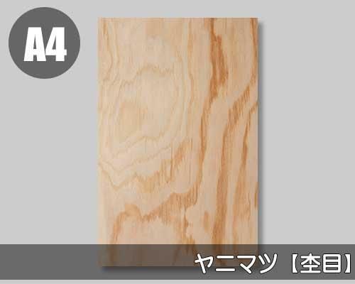 国産ヤニマツ杢目の天然木ツキ板シート「ノーマルタイプ」A4サイズの