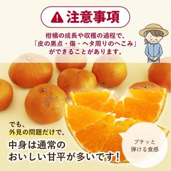 会員様限定価格 甘平 (かんぺい)【訳あり・お試し価格】4.5kg 旬の甘く
