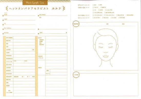 ヘッドリンパケアセラピスト カルテ5枚set - キャリカレ受講生のための