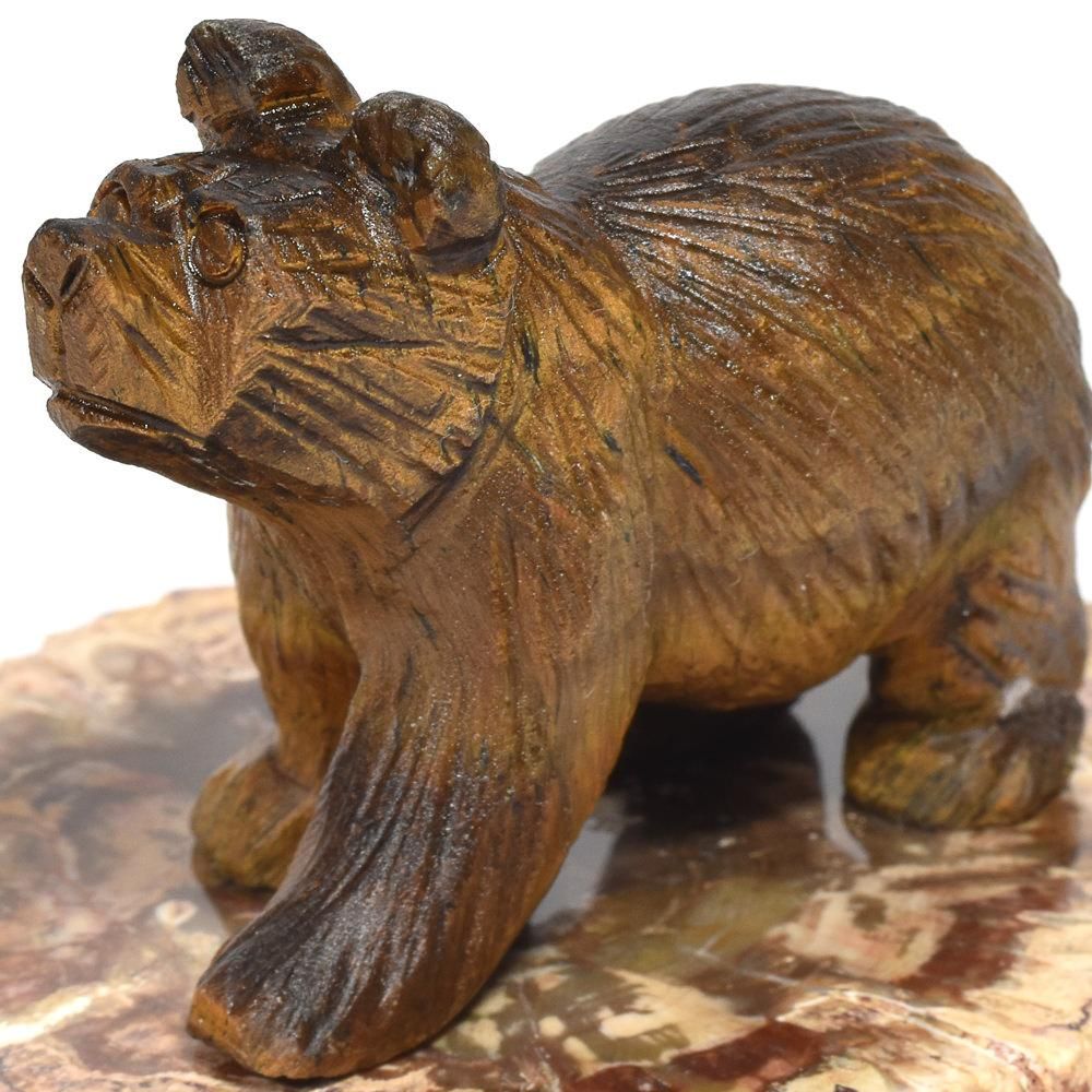 タイガーアイ「熊」彫刻置物（珪化木台座付き）#QB042 - プレミアム