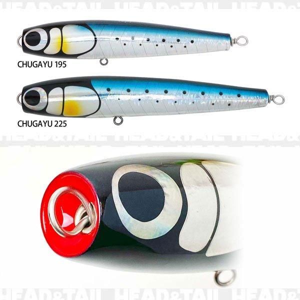 ケイコオーシャン CHUGAYU ホロ 195 225 - HEAD & TAIL Web Shop