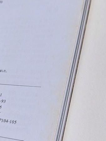 別冊太陽 神像の美 すがたなきものの、かたち 平凡社