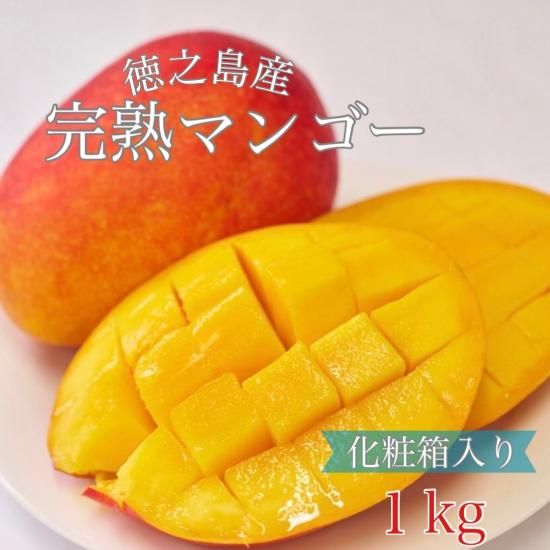今季完売いたしました】令和7年産「完熟マンゴー」(鹿児島県徳之島