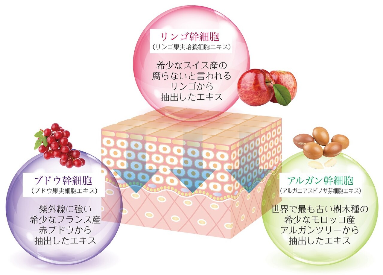 ルヴィ☆-REVI- 幹細胞トリートメントで陶器の様なお肌へ 初回お試し