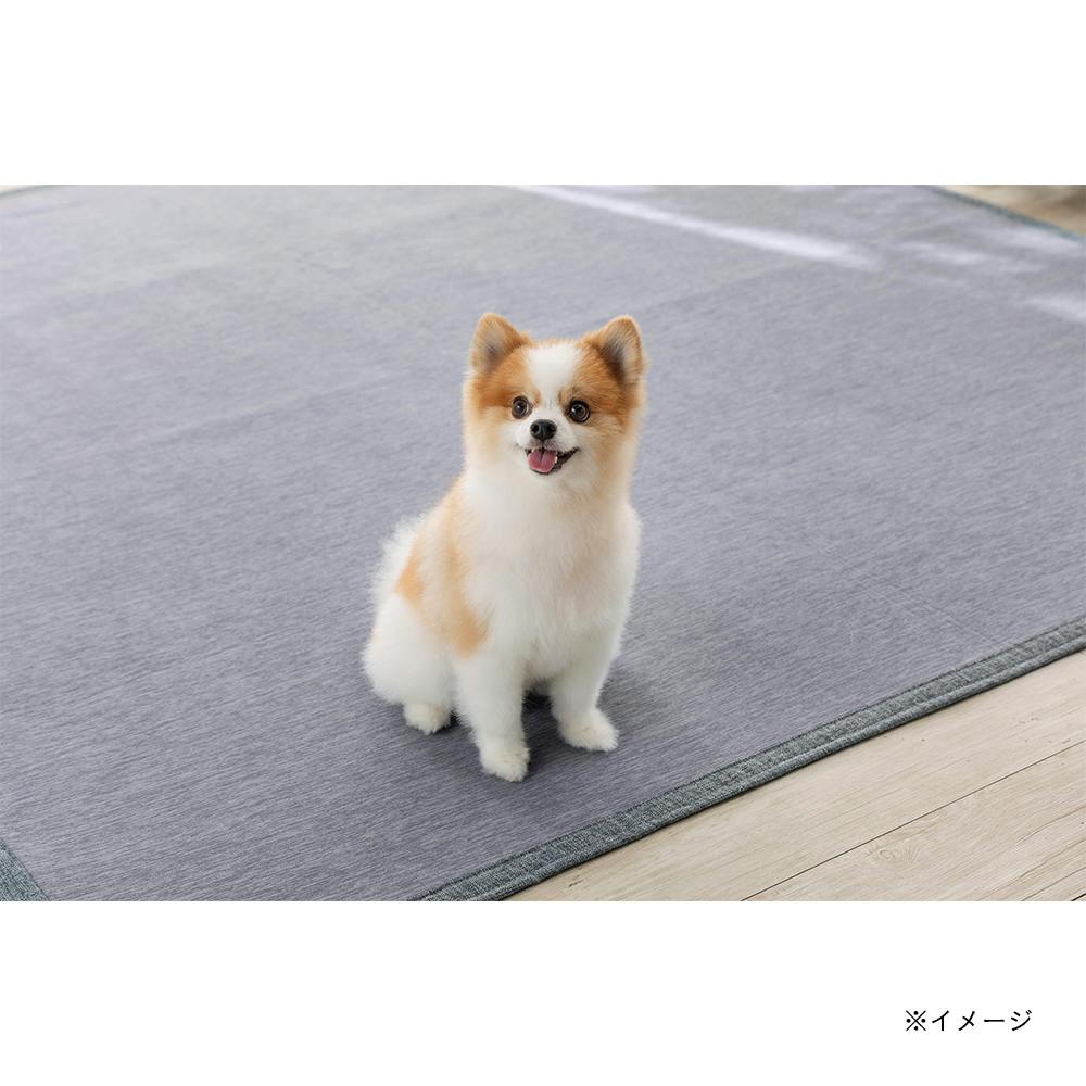 デオクールラグ ベントス グレー 185×185cm | ラグ・カーペット