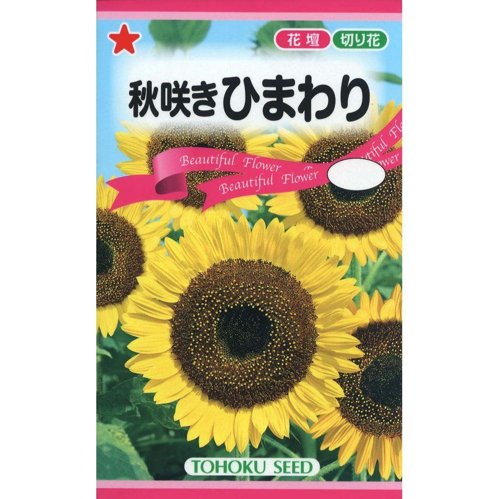 秋咲きひまわり | 花＆グリーン 通販 | ホームセンターのカインズ