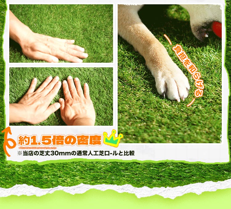 グッドライフウッド ペット専用人工芝ロール 1m×10m 芝丈30mm 固定ピン