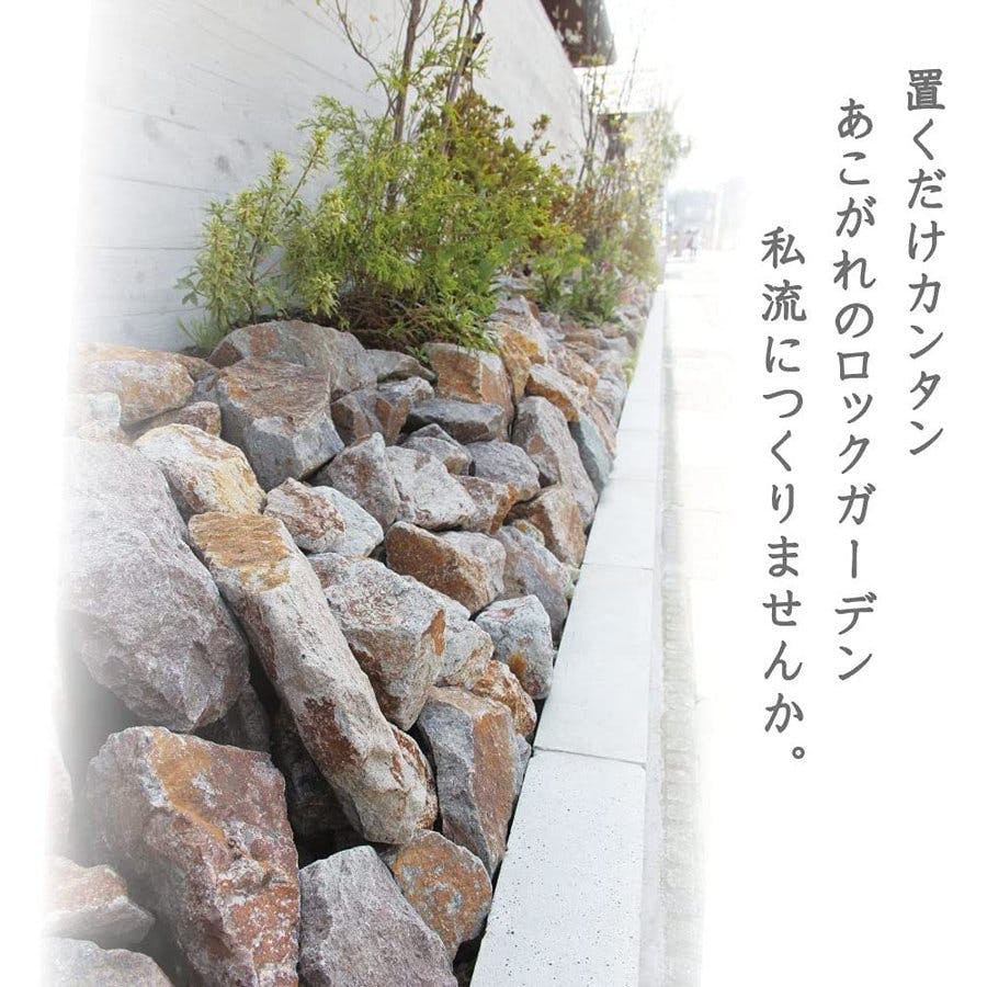 石垣様用）ガーパイク 化石 レプリカ ガーパイク 化石 レプリカ