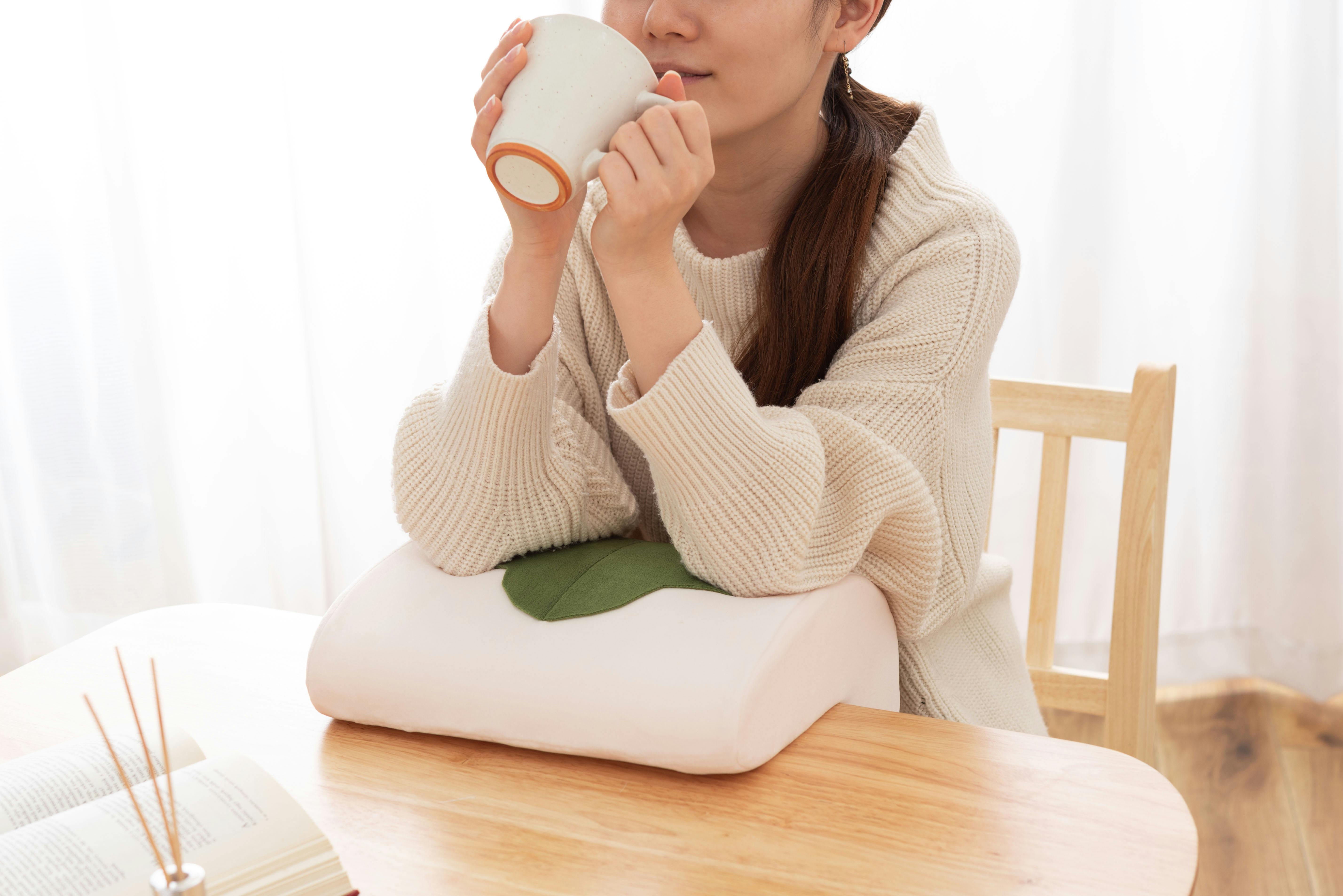 Room Essence 挟んで使えるクッション W30×D25×H19 ホワイト 完成品 腰