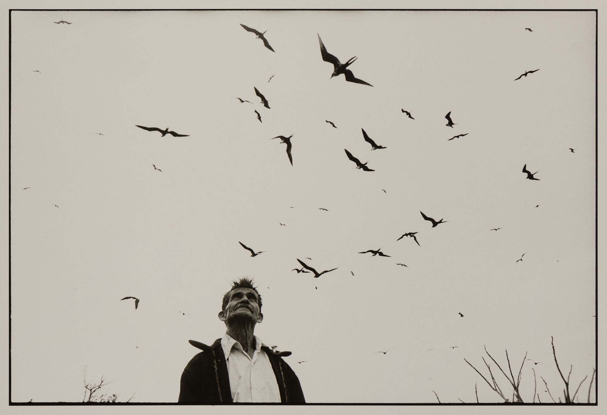 Graciela Iturbide - Pajaros 写真集 Graciela Iturbide | Ruiz-Healy Art