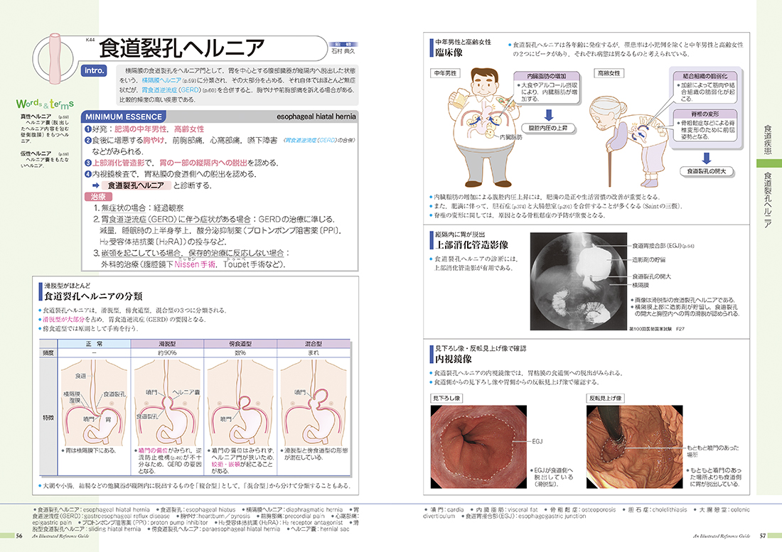 病気がみえる』まとめ買いのすゝめ | INFORMA by メディックメディア