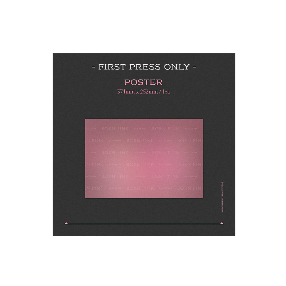 BORN PINK Exclusive Box Set - Pink Version - Interscope Records