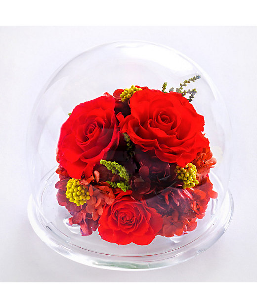 ガラスドームL | Belles Fleurs /ベル・フルール | 三越伊勢丹
