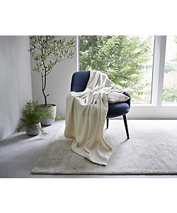 インペリアルプラザ カシミヤ毛布D（FQ21222005） | 西川