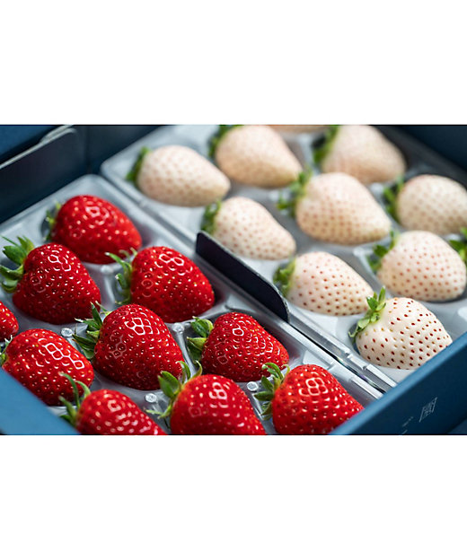 ☆【産直】いちごさん＆パールホワイト紅白いちご食べ比べセット
