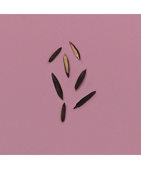 GUCCI beauty（GUCCI beauty） グッチ ムーンライト セレナーデ