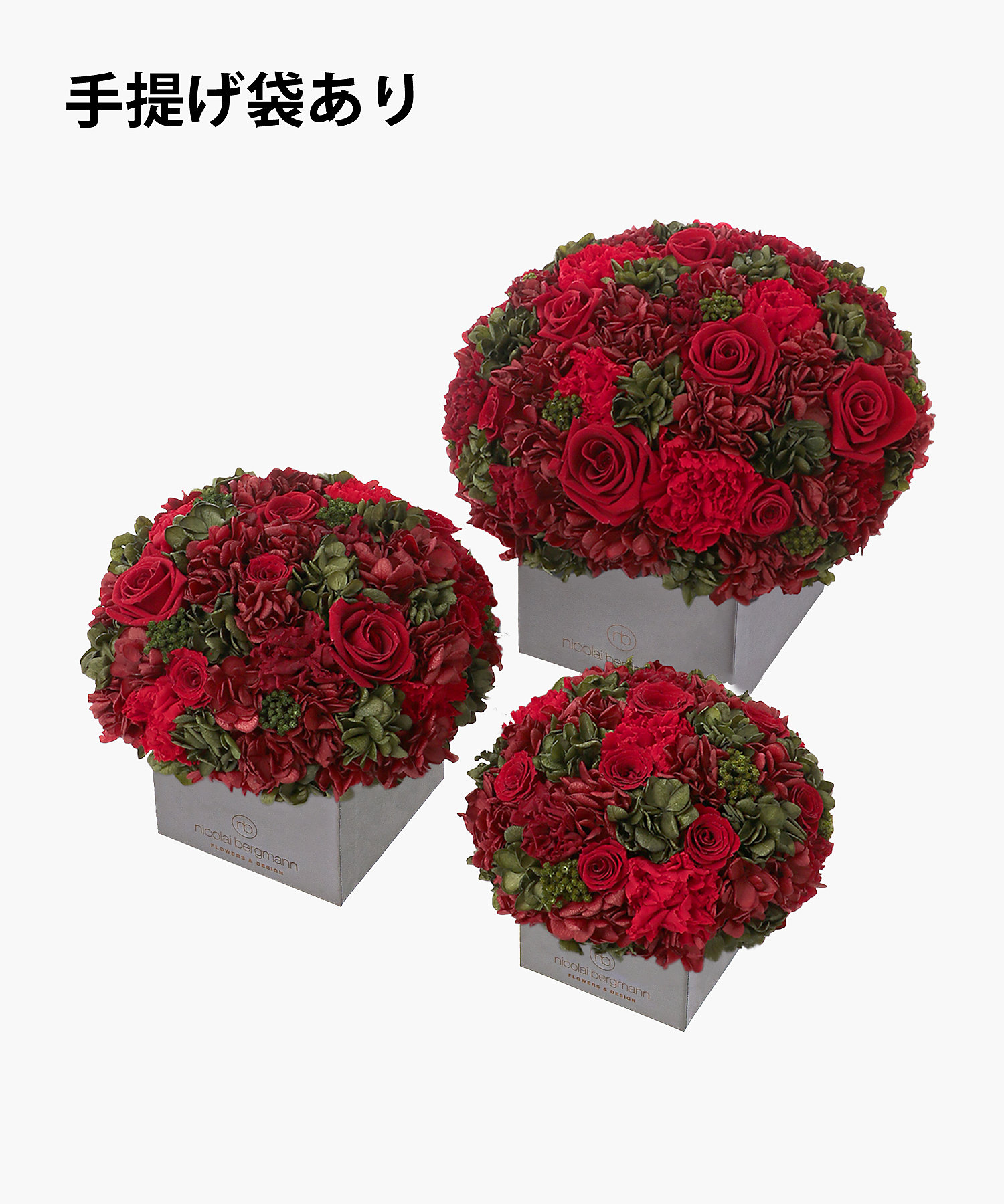 PF-CUBE-Red-01-bag?$VS_1500$