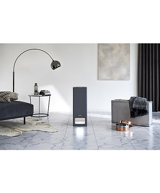 バルミューダ ザ・ピュア ダークグレー | BALMUDA/バルミューダ | 三越